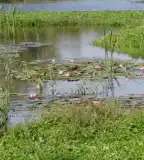 Baki víztározó, Bak