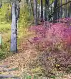 Boroszlán tanösvény, Bakonybél