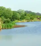 Feketeberki II-III. tározó, Bakonycsernye