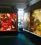 Bakonyi Természettudományi Múzeum, Zirc