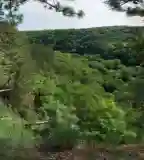 Burok-völgy, Bakonykúti