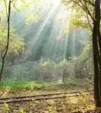 Cuha-völgyi pihenőpark és Erdei tanösvény, Bakonyszentlászló