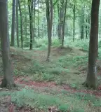 Százhalom halomsírok, Bakonyszücs