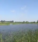 Őszeszéki-tó, Balástya