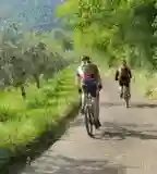 Balatonfelvidék-Kálimedence kerékpártúra, Balatonalmádi