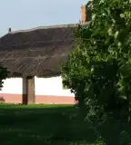 Szőlőhegy műemlék présházakkal, Balatonberény