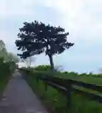 Kelta sétány, Balatonföldvár