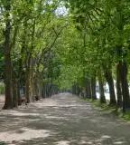 Kvassay sétány, Balatonföldvár