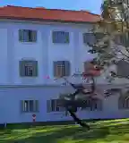 Esterházy-kastély Nyaralástörténeti Látogatóközpont, Balatonfüred