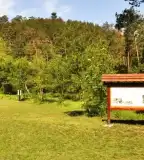 Büdöskúti Arborétum, Balatongyörök