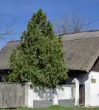 Barbacsi tájház, Barbacs