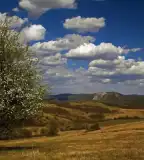 Bátor tanösvény, Bátor