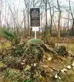 Boldogasszony Gyógyító-Szeretet Emlékhelye (13/7), Zamárdi