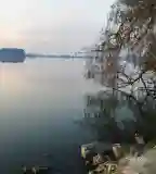 Búbos vöcsök tanösvény, Balatonmagyaród