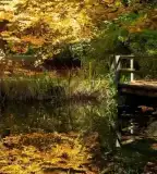 Budakeszi Arborétum, Budakeszi