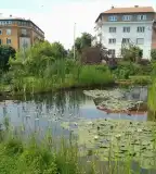 Budai Arborétum, Budapest