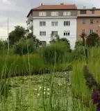 Budai Arborétumtól induló túra, Budapest