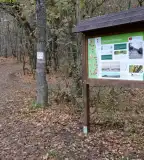 Guckler Károly Tanösvény, Budapest