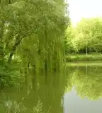 Hidegkúti horgásztó, Budapest