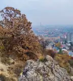 Sas-hegy Tanösvény, Budapest