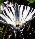 Soroksári Botanikus Kert, Budapest