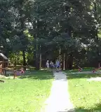 Szépjuhászné - Ady liget, Budapest