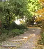 Kis-Svábhegy túra, Budapest