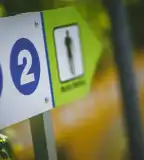 Napsugár Nordic Walking útvonal, Bük