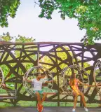 Organikus Pont, Bük