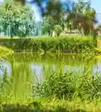 Büki Horgásztó, Bük