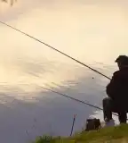 Buzsáki Tógazdaság, Buzsák