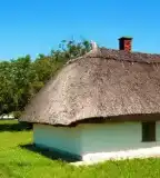 János-hegyi pincesor, Buzsák