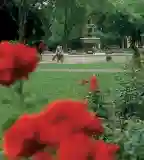 Gubody kert, Cegléd