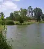 Fritz tavak, Ceglédbercel