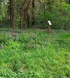 Botanikai-zoológiai tanösvény, Celldömölk