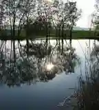 Göbölyvölgyi bányató, Csákvár