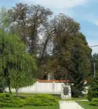 Huszár emlékmű, Csákvár