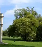 Kastélypark, Csákvár