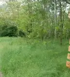 Ősi ösvény, Császártöltés