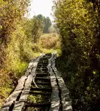 Vörös-mocsár tanösvény, Császártöltés