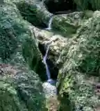 Kőmosó-szurdok, Csesznek