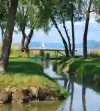 Csicsergő félsziget, Balatonberény