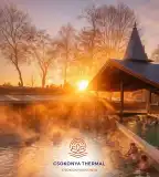 Csokonya Thermal, Csokonyavisonta