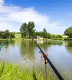 Horgásztavak, Csolnok