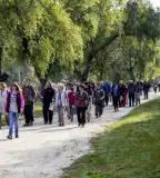 Csömöri körtúra, Csömör