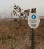 Sárréti Tájvédelmi Körzet, Csór