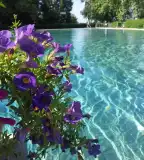 Csornai Termálfürdő, Csorna