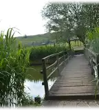 Barina horgásztó, Csővár