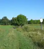 Turjánvidék, Dabas