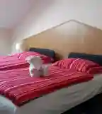 Cívis House, Debrecen